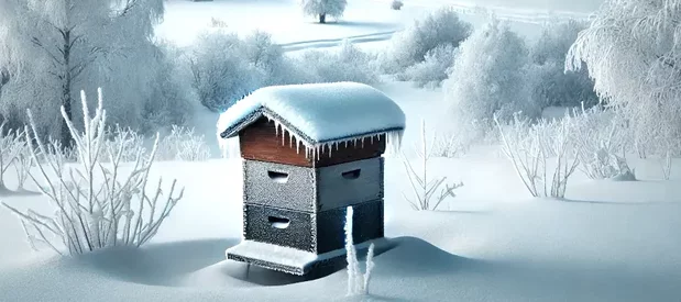 Image d'une ruche en hiver sous la neige.