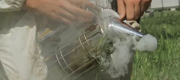 Un apiculteur tient dans ses mains un enfumoir en métal entouré de fumé et s'apprêtent à l'utiliser sur une ruche.