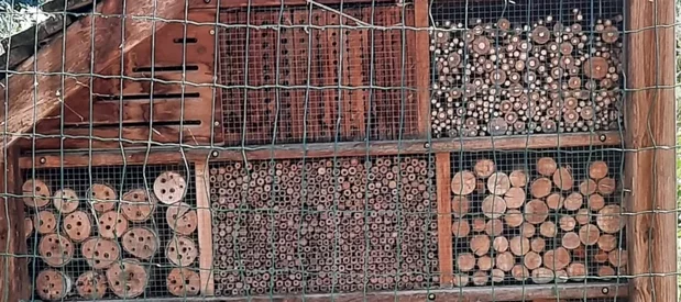 Un abris à insectes dans un jardin parisien, fait de petites boites en bois abritées de la pluie qui contiennent toutes différents types de cavités pour les insectes: une boite en bois avec de longues fentes, des briques, des tiges creuses, et des bûches percées.
